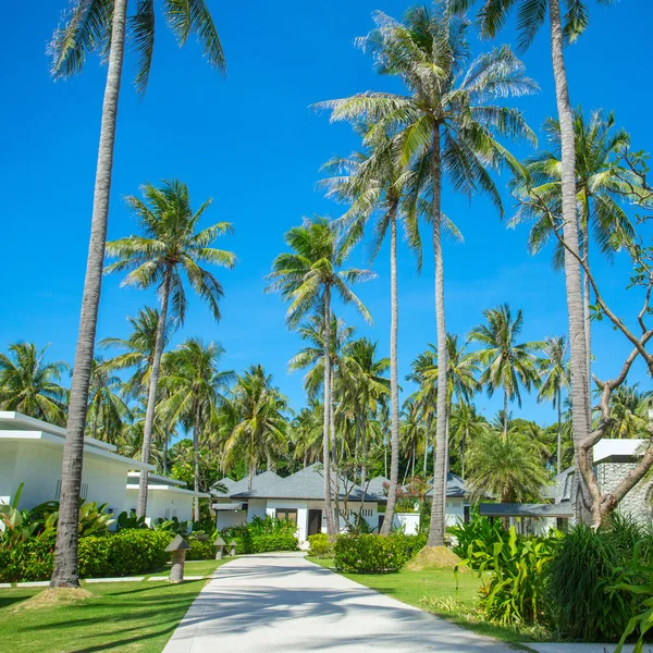 Bungalows de resort tropical — Foto de Stock