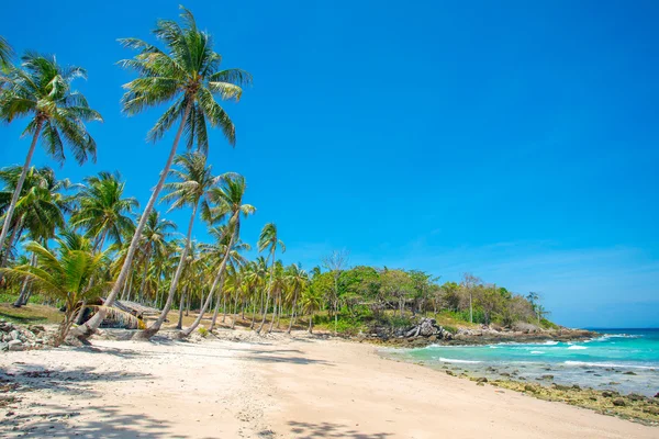 Palm trees over tropical beach — Stock Photo, Image