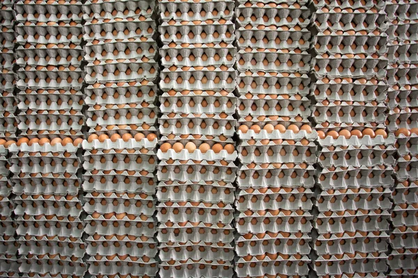 Stapels van bruin eieren — Stockfoto