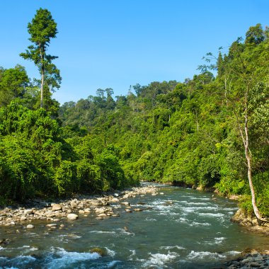 Bukit lawang village