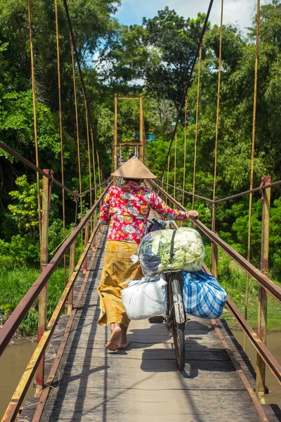 Frau trägt Taschen auf dem Fahrrad — Stockfoto