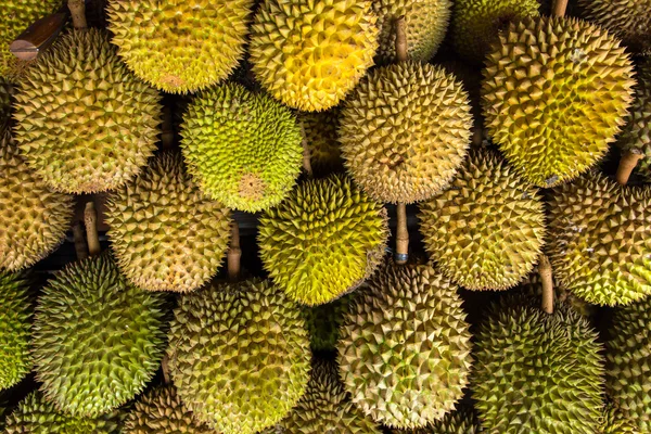 Primer plano de los frutos durianos — Foto de Stock