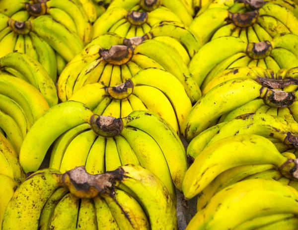 Des grappes de bananes mûres — Photo