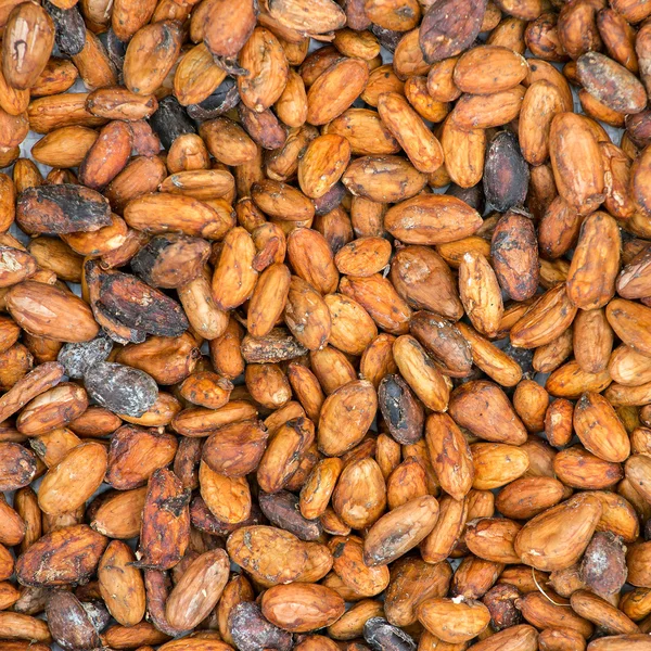Cocoa beans background — Stock Photo, Image