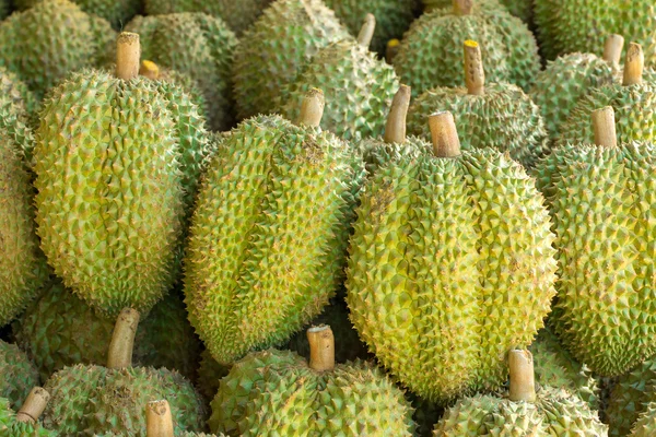 Tasty durian fruits — Stockfoto