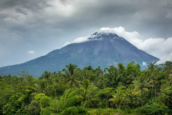 Vulkan Merapi — Stockfoto