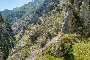 Ruta del Cares, yazın Picos de Europa Ulusal Parkı 'nda Cares Trail yürüyüş yolu, Cantabrian Dağları' nda Kastilya, Leon ve Asturias arasında bir biyosfer rezervi, Kuzey İspanya