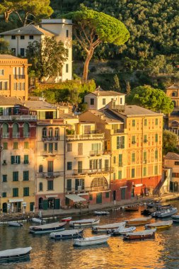 İtalya 'nın Liguria kentindeki Portofino tatil beldesinin günbatımı manzarası. Ligurian kıyıları boyunca tarihi renkli binalarla çevrili demirlemiş yelkenlileri ve lüks yatları olan büyüleyici bir liman..