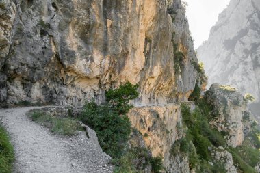 Ruta del Cares, yazın Picos de Europa Ulusal Parkı 'nda Cares Trail yürüyüş yolu, Cantabrian Dağları' nda Kastilya, Leon ve Asturias arasında bir biyosfer rezervi, Kuzey İspanya