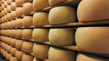 Parmigiano-Reggiano sert peynirinin geleneksel üretim süreci Parma, İtalya 'da küçük bir mandıra çiftliğinde. Parmesan peyniri tekerlerinin 5 yıla kadar yaşlandığı fabrika olgunlaşma odası. 