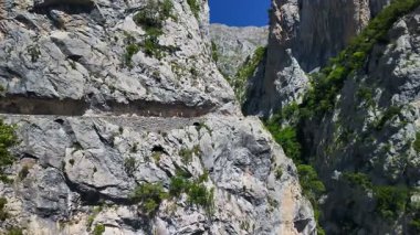 Ruta del Cares, yazın Picos de Europa Ulusal Parkı 'nda Cares Trail yürüyüş yolu, Cantabrian Dağları' nda Kastilya, Leon ve Asturias arasında bir biyosfer rezervi, Kuzey İspanya