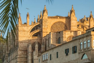 Gün doğumunda Santa Maria Katedrali, Palma de Mallorca, Mallorca, Balear Adaları, İspanya. Majorca adasındaki tarihi Katedral binasının güzel manzarası.