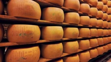 Parmigiano-Reggiano sert peynirinin geleneksel üretim süreci Parma, İtalya 'da küçük bir mandıra çiftliğinde. Parmesan peyniri tekerlerinin 5 yıla kadar yaşlandığı fabrika olgunlaşma odası. 