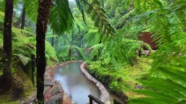 Sao Miguel Adası, Azores, Portekiz 'deki yemyeşil tropikal ormanlarda termal su havuzları olan Caldeira Velha kaplıcaları bu jeotermal alanın yavaş çekim görüntülerini ortaya çıkarıyor..
