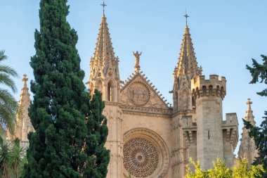 Santa Maria Katedrali, Palma de Mallorca, Mallorca, Balear Adaları, İspanya. Majorca adasındaki tarihi Katedral binasının güzel manzarası.