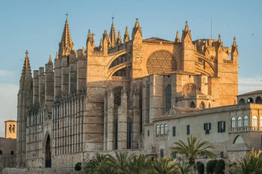 Gün doğumunda Santa Maria Katedrali, Palma de Mallorca, Mallorca, Balear Adaları, İspanya. Majorca adasındaki tarihi Katedral binasının güzel manzarası.