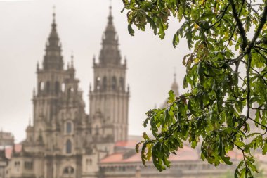 Yağmurlu bir günde yeşil meşe yapraklarıyla çerçevelenen Santiago de Compostela Katedrali 'nin taş kulelerinin görüntüsü, Galiçya, İspanya