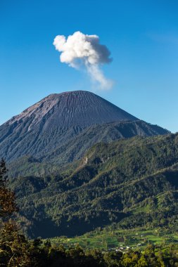 Ash cloud at Semeru Volcano Mountain