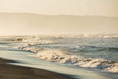 Ocean waves in misty morning