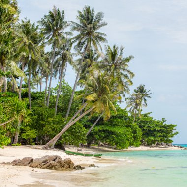 Boat on beautiful tropical beach on Karimunjawa