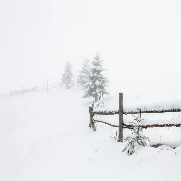 雪が木やフェンスに覆われました。 — ストック写真