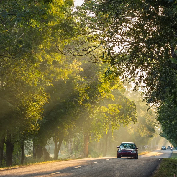 Sonne scheint auf Landstraße — Stockfoto