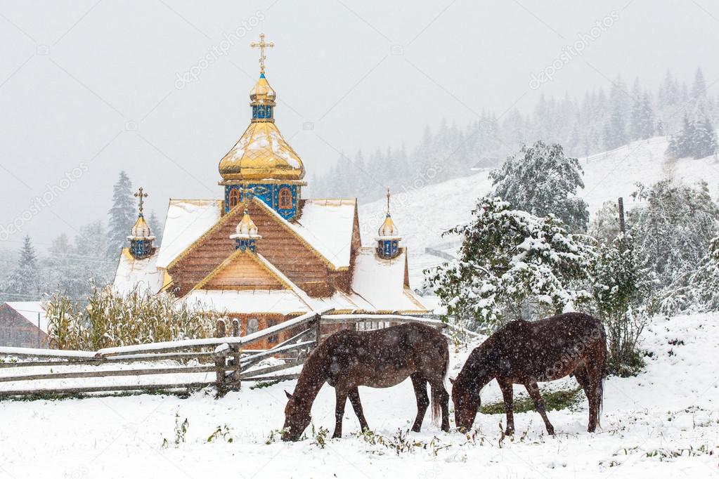 Horses grazing in front of church