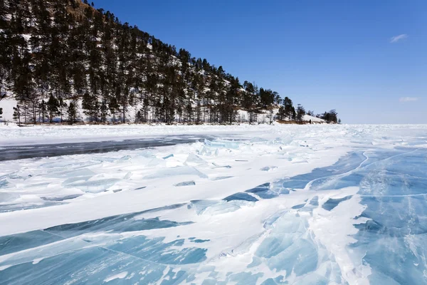 Ледяные полюса у берега — стоковое фото