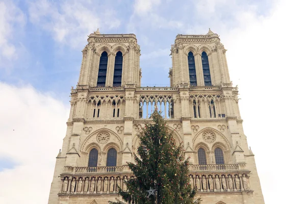 Notre Dame de Pari — Zdjęcie stockowe