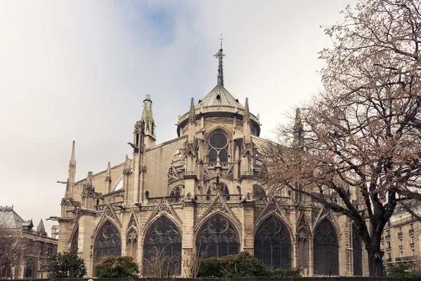 Notre dame de paris tillbaka Visa — Stockfoto