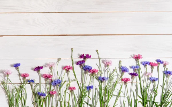 Beautiful colorful cornflowers on wooden background — Stock Photo, Image