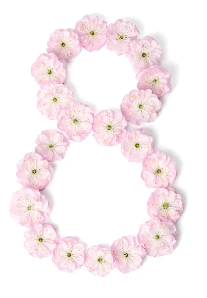 Flores de color rosa en forma de número ocho sobre fondo blanco —  Fotos de Stock