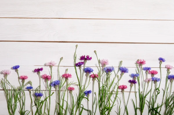 Beautiful colorful cornflowers on wooden background — Stock Photo, Image