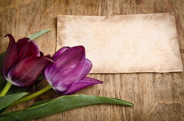 Dos tulipanes frescos y tarjeta sobre fondo de madera —  Fotos de Stock