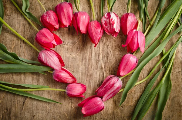 Der herzförmige Rahmen aus frischen Tulpen liegt auf einem alten Rusti — Stockfoto