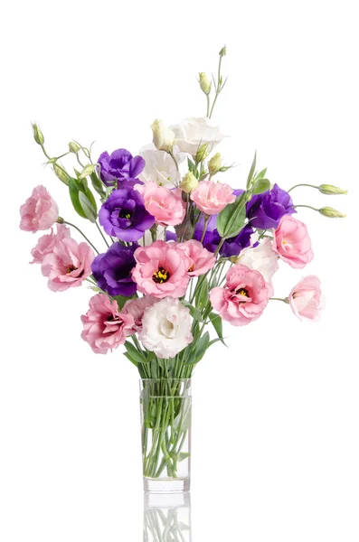 유리 꽃병에 보라색, 흰색, 분홍색 eustoma 꽃의 무리는 — 스톡 사진