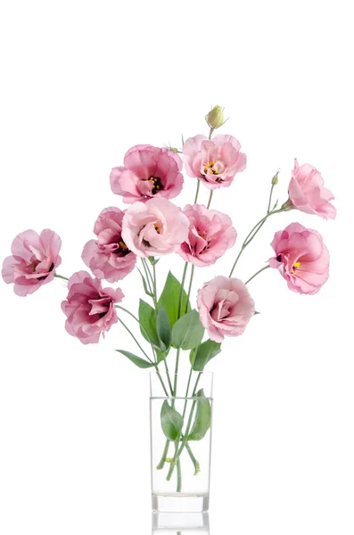Cacho de flores de eustoma rosa em vaso de vidro isolado em branco — Fotografia de Stock