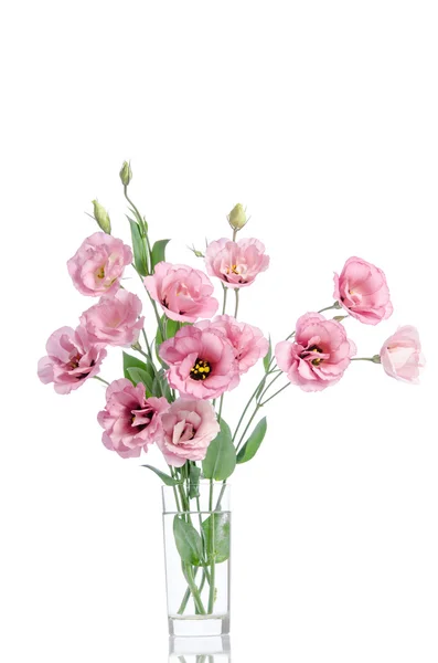 Bukiet kwiatów różowe eustoma w szklanym wazonie na białym tle — Zdjęcie stockowe