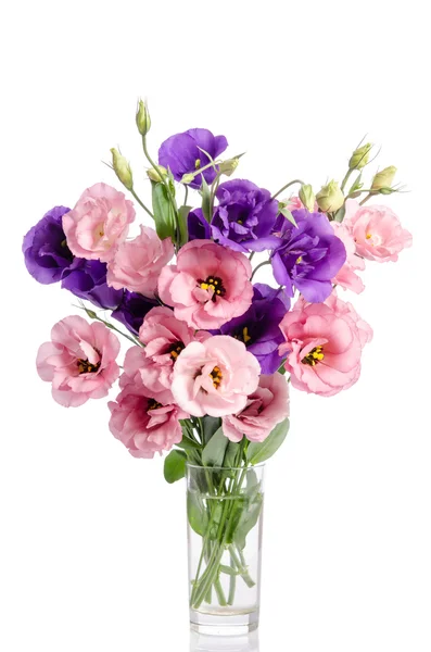 Ramo de flores de eustoma violeta y rosa en jarrón de vidrio aislado — Foto de Stock