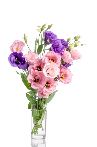 Bunch of violet and pink eustoma flowers in glass vase isolated — Stock Photo, Image