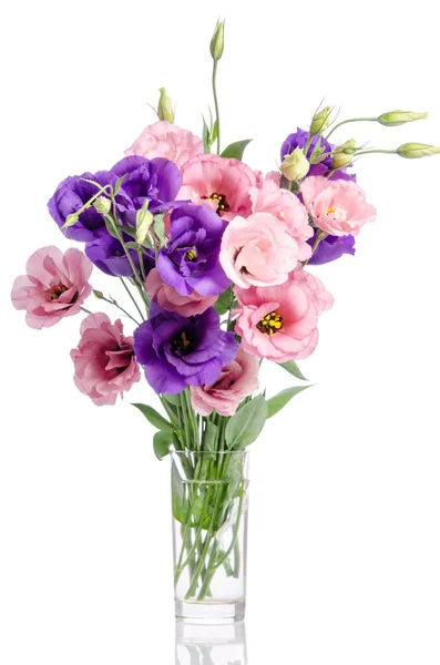 Bunch of violet, white and pink eustoma flowers in glass vase is — Stock Photo, Image