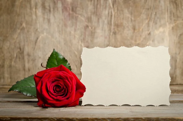 Red rose and blank gift card for text on wooden background — Stock Photo, Image