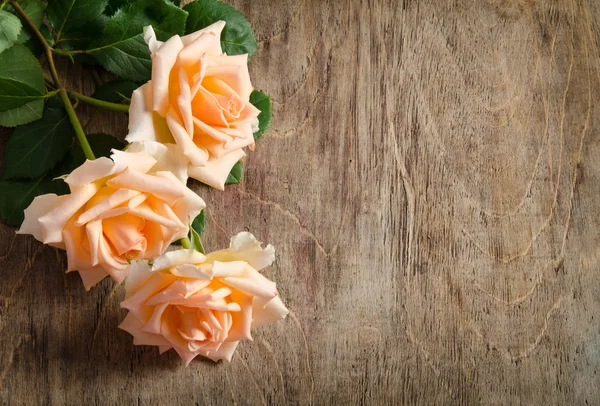 Delicate cream roses from the site  on wooden table — Stock Photo, Image