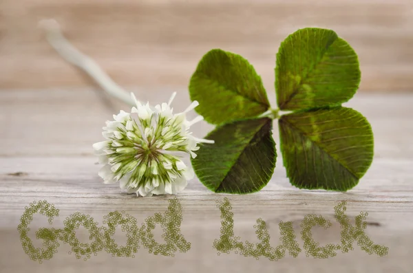 Trébol de cuatro hojas con flor y texto buena suerte en backgr de madera —  Fotos de Stock