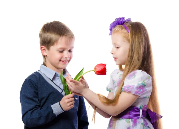 El chico le da a la chica un tulipán aislado sobre fondo blanco — Foto de Stock