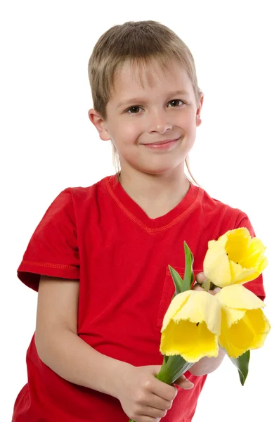 Fiú, gazdaság, elszigetelt fehér tulipánok — Stock Fotó