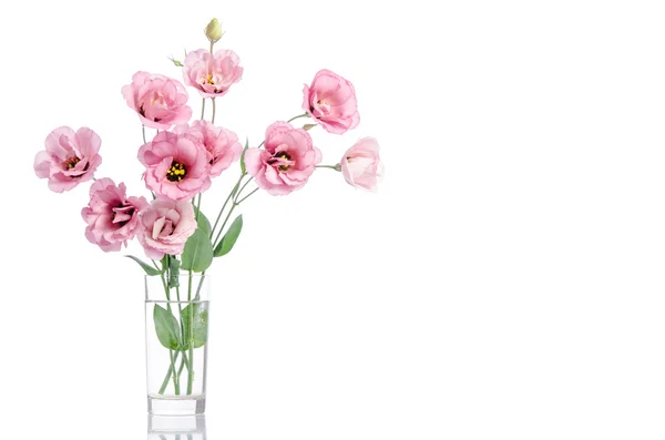 Mazzo di fiori di eustoma rosa in vaso di vetro isolato su bianco — Foto Stock