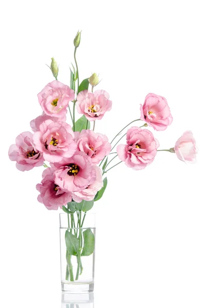 Bunch of pink eustoma flowers in glass vase isolated on white — Stock Photo, Image