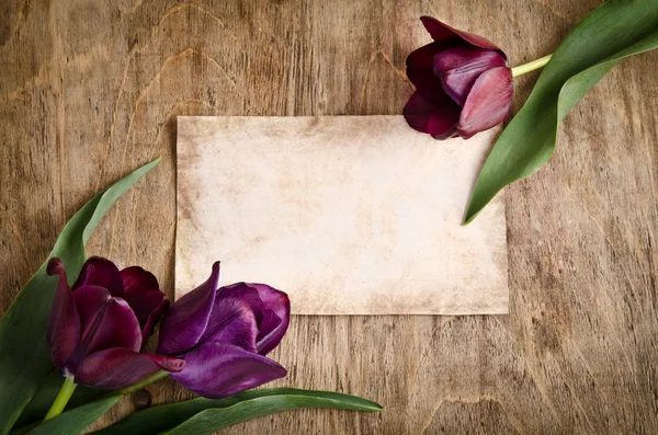 O velho cartão e tulipas frescas de dois cantos está deitado em woode — Fotografia de Stock