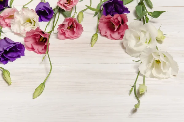 Eustoma barevné květy na bílém pozadí dřevěná — Stock fotografie